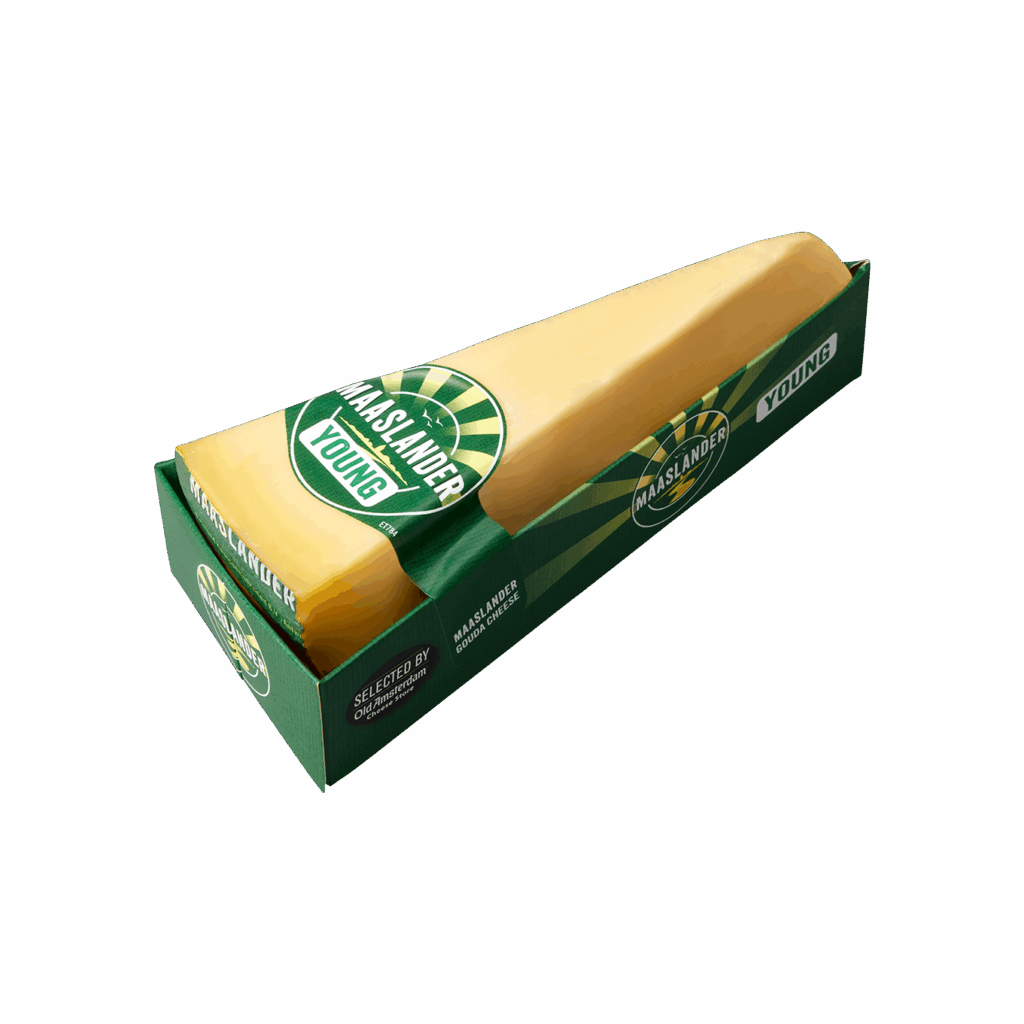 Maaslander Gouda Young