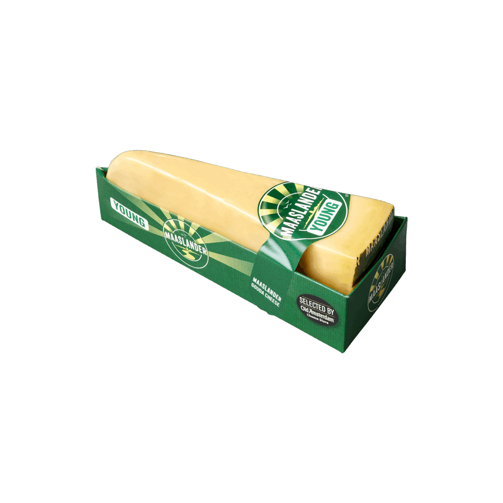 Maaslander Gouda Young