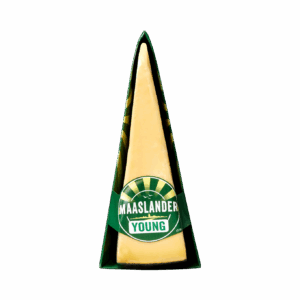 Maaslander Gouda Young